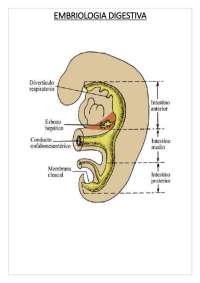 EMBRIOLOGIA DIGESTIVA