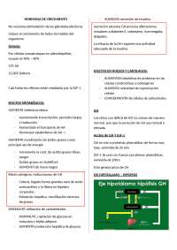 apuntes de endocrinología