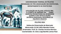 ARTRODESE EM EQUINOS