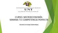 M. Competencia Perfecta