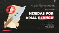 Arma blanca y sus diversas areas