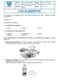 los alimentos y sus tipos
