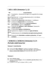 Embrion, semans y caracteriticas