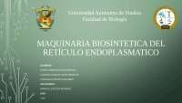biologia celular , citoplasma, membrana plasmatica