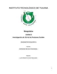 Investigación sobre pentosas vía fosfato