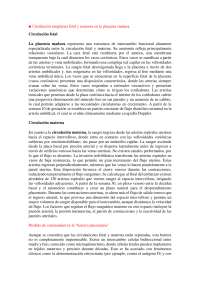 ■ Circulación sanguínea fetal y materna en la placenta madura