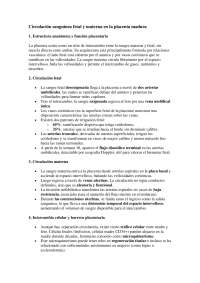 Apuntes de mi clase del pre internado