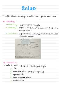 Anatomy notes of head, neck and face