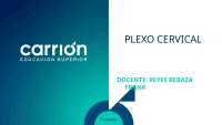 Plexo cervical y nervios periféricos snp