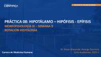 PRÁCTICA 08: HIPOTÁLAMO – HIPÓFISIS - EPÍFISIS MORFOFISIOLOGÍA III – SEMANA 9 ROTACIÓN HIS