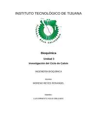 Investigación del Ciclo de Calvin