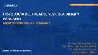 HISTOLOGÍA DEL HIGADO, VESÍCULA BILIAR Y PÁNCREAS