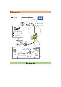 Estos son resúmenes de imágenes de parasitologia