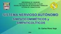 Sistema nervioso central