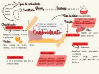 Mapa mental de carboidratos com fontes, funções e classificações. Rápido e visual!