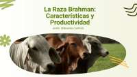 presentacion de razas