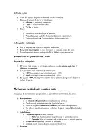 Apuntes de mi clase de obstetricia