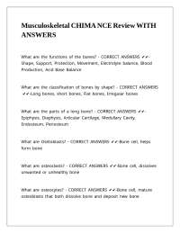 Musculoskeletal System Q&A: Anatomy and Common Conditions