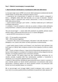 Riassunto Capitolo 3 del Denes Pizzamiglio