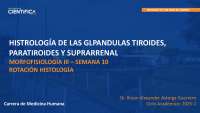 HISTROLOGÍA DE LAS GLPANDULAS TIROIDES, PARATIROIDES Y SUPRARRENAL MORFOFISIOLOGÍA III – S