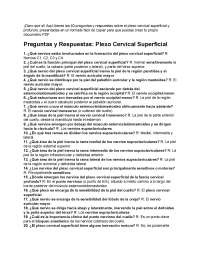 Cuestionario plexo cervical