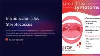 presentación de steptococo