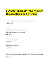 BSN 206 - Sherpath - Overview of Oxygenation and Perfusion