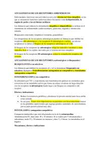 Antagonistas adrenergicos