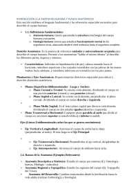 tejidos del epitelial, conjuntivo, nervioso hematopoyetico, etc