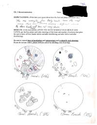 Lab Report EX3 for microbiology class