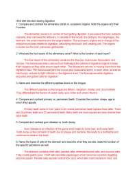 The best document ever