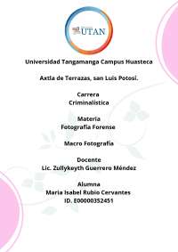 practicas de la materia