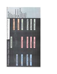 Concept Map Polymerase Chain Reaction (CM PCR)