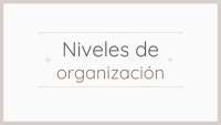 Niveles de organización