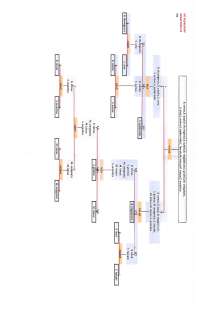 Flow Chart Gram Positive