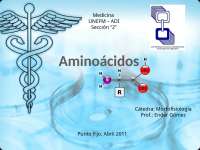 AMINOACIDOS PEPTIDOS