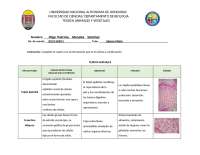 CUADRO_DE_TEJIDOS_ANIMALES_Y_VEGETALES[1]