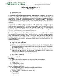 transporte y el uso del celular
