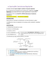 Producidos por Larvas