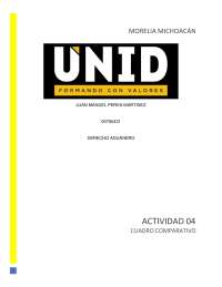 DERECHO ADUANERO MEXICO