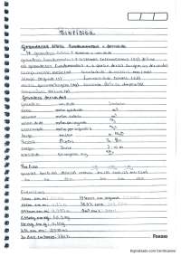 grandezas fisíca fundamentais e derivadas, notação cientifica e energia e o corpo humano.