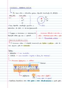 Composição e funcionamento da Membrana Plasmática