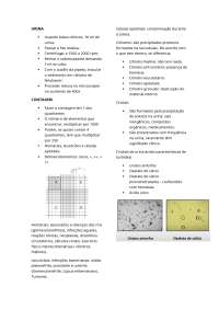 resumo de urinálise - analise de sedimento urinário