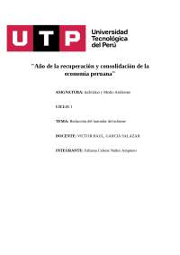 ESTETOSCOPIO CASERO Y AÑO DE LA RECUPERACIÓN Y CONSOLIDACIÓN DE LA ECONOMIA