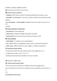 riassunti libro cinema e suono