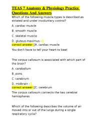 TEAS 7 Anatomy & Physiology Practice Questions