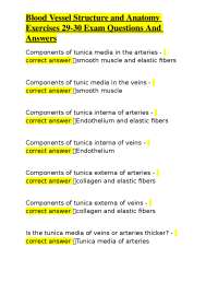 Blood Vessel Structure and Anatomy: Q&A for Exam Prep
