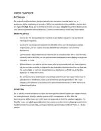 Anemia Falciforme: Etiología, Fisiopatología y Manifestaciones Clínicas