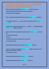 Obstetric Ultrasound Exam Q&A: Fetal Measurements and Assessment