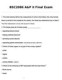 A&P II Final Exam: Urinary System Questions
